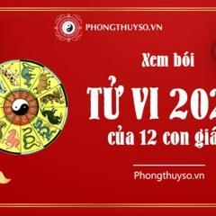 Tuvi2023 Phongthuyso
